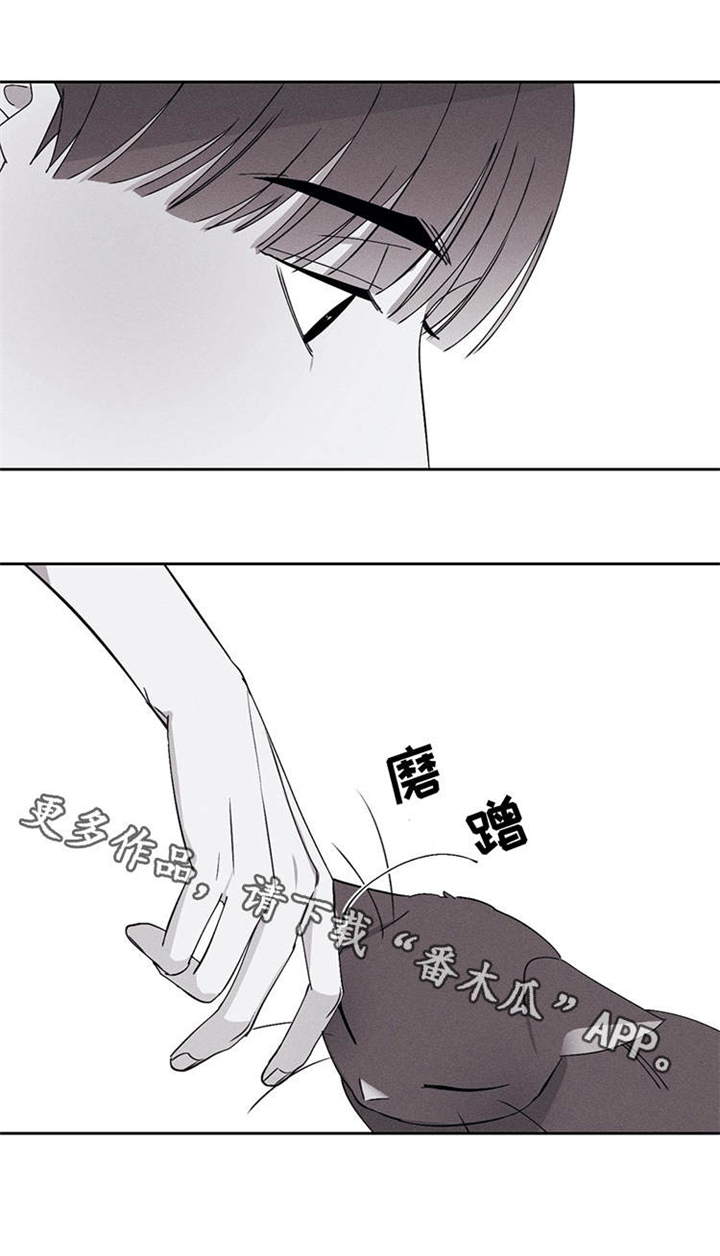 《归来重逢》漫画最新章节第20章：对不起免费下拉式在线观看章节第【3】张图片