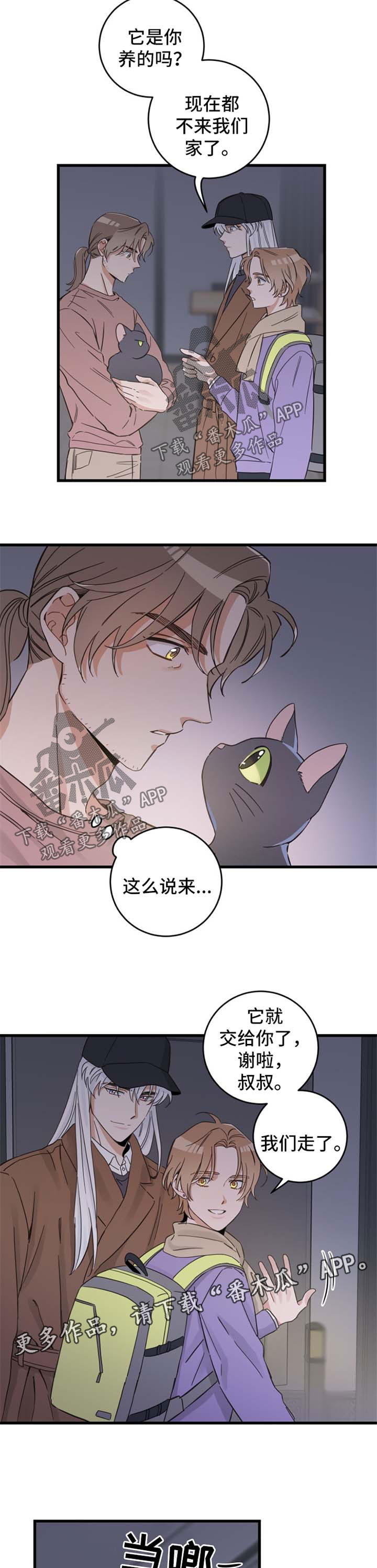 《亲爱的喵君》漫画最新章节第78章：宠物心得免费下拉式在线观看章节第【7】张图片