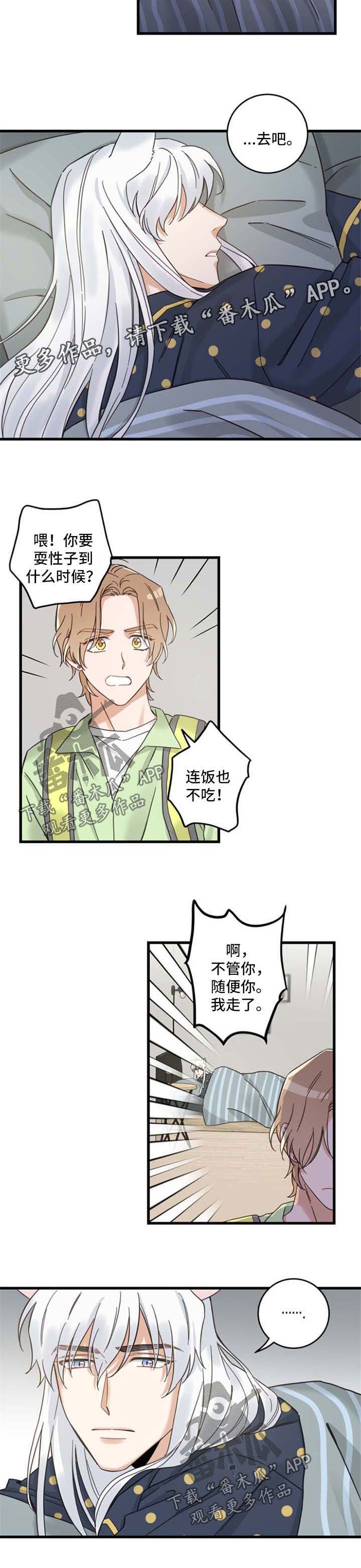 《亲爱的喵君》漫画最新章节第93章：闹别扭免费下拉式在线观看章节第【5】张图片