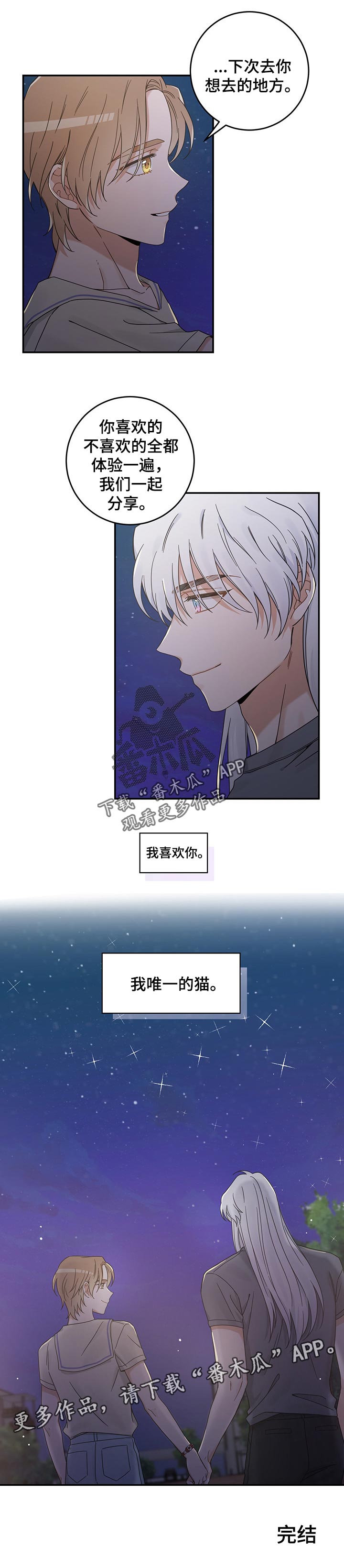 《亲爱的喵君》漫画最新章节第113章：我唯一的猫【完结】免费下拉式在线观看章节第【1】张图片