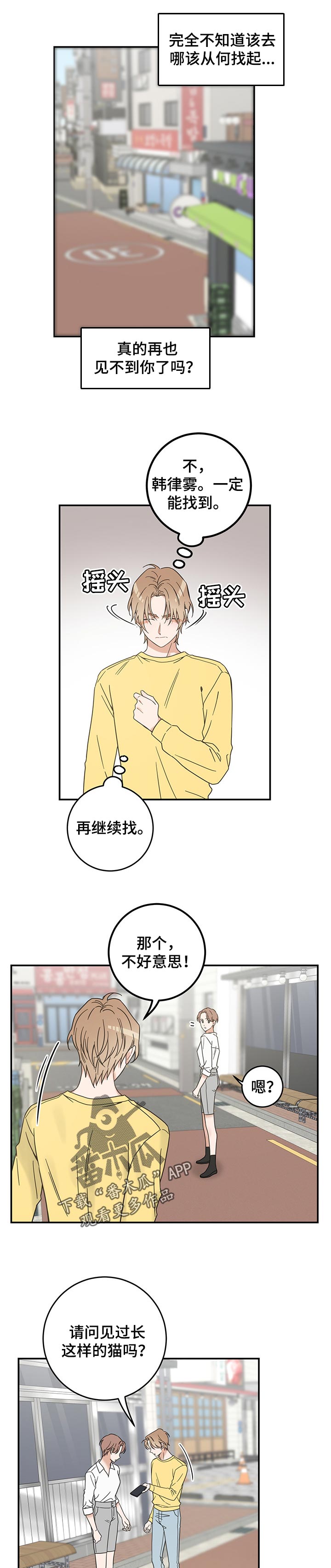 《亲爱的喵君》漫画最新章节第103章：寻找免费下拉式在线观看章节第【6】张图片