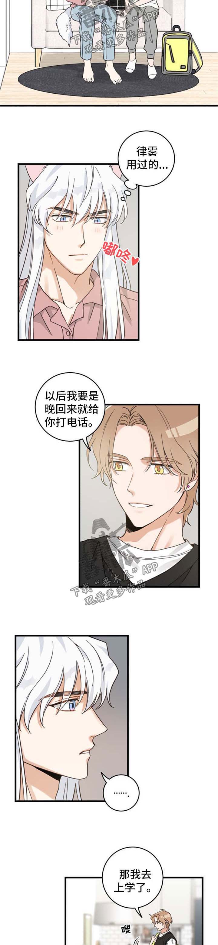 《亲爱的喵君》漫画最新章节第87章：像梦一样免费下拉式在线观看章节第【7】张图片