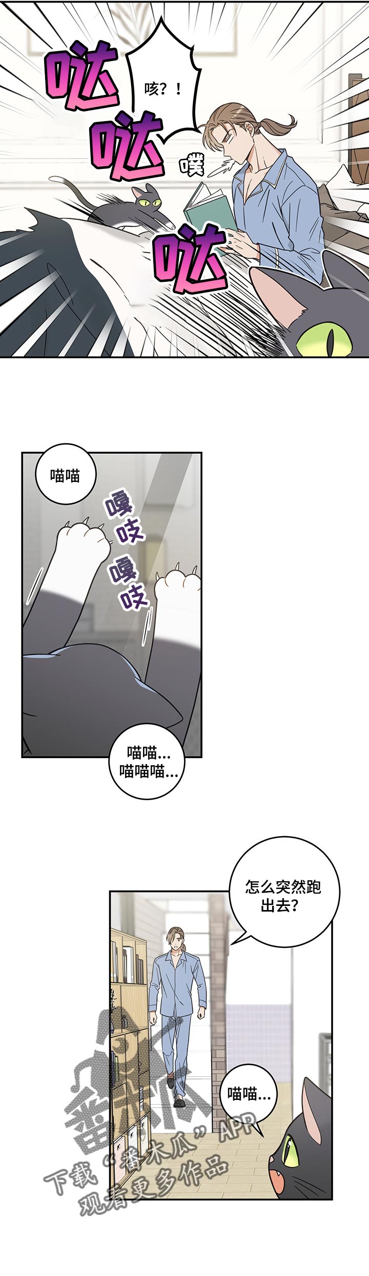 《亲爱的喵君》漫画最新章节第98章：捣乱免费下拉式在线观看章节第【2】张图片