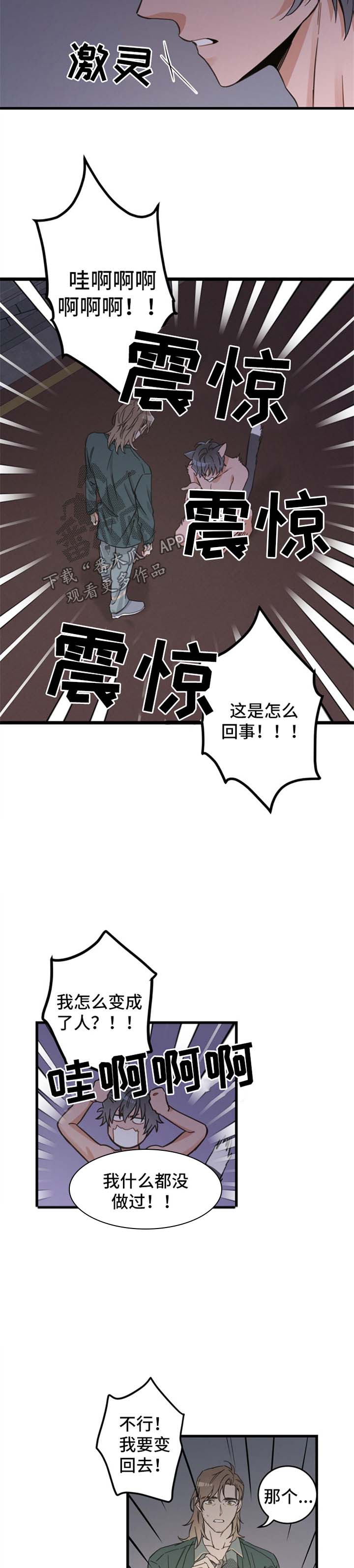 《亲爱的喵君》漫画最新章节第82章：变人免费下拉式在线观看章节第【3】张图片