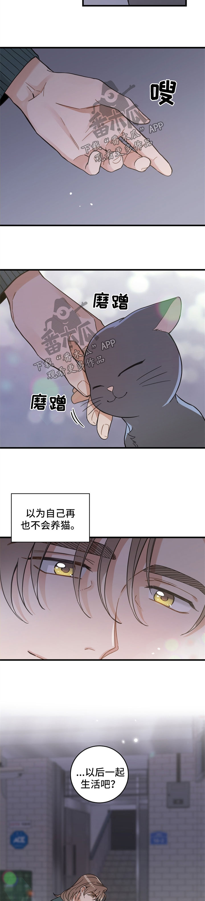 《亲爱的喵君》漫画最新章节第81章：星星免费下拉式在线观看章节第【4】张图片