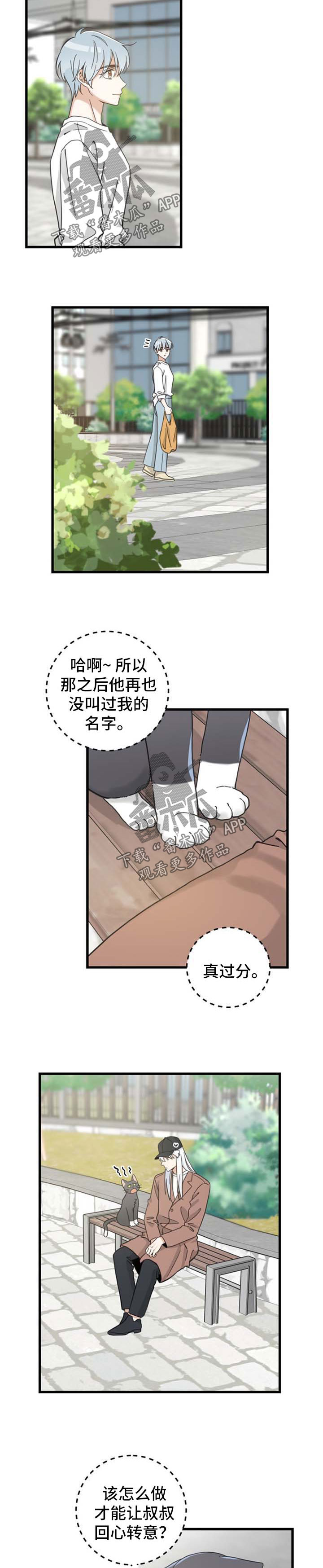 《亲爱的喵君》漫画最新章节第88章：偶遇免费下拉式在线观看章节第【5】张图片