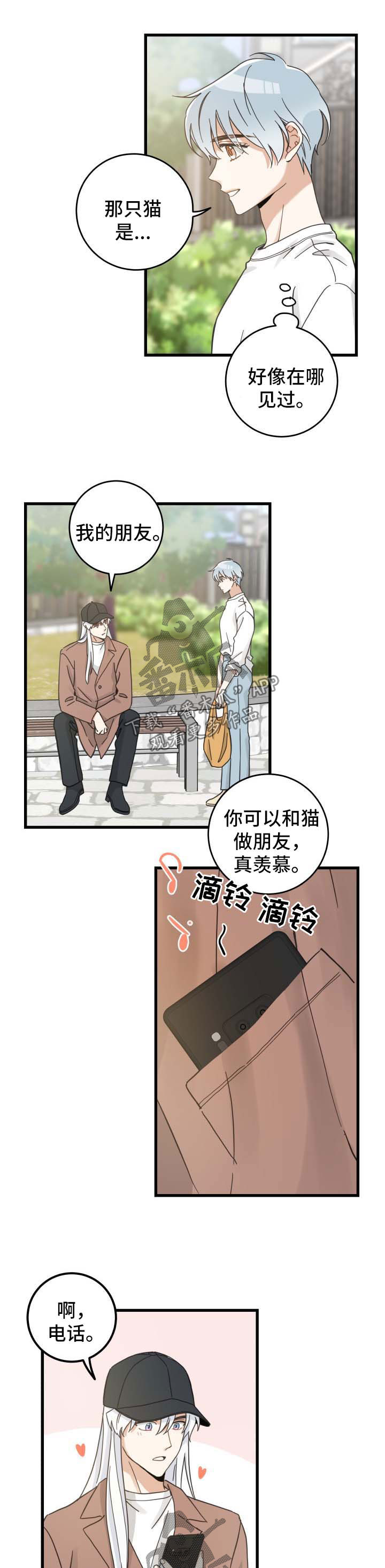 《亲爱的喵君》漫画最新章节第88章：偶遇免费下拉式在线观看章节第【2】张图片