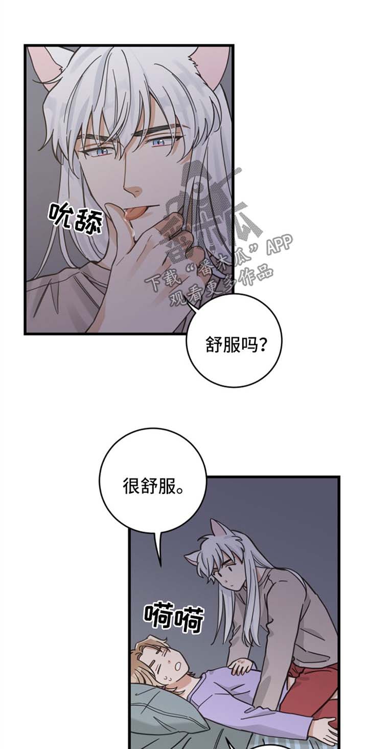 《亲爱的喵君》漫画最新章节第83章：打扰好事免费下拉式在线观看章节第【9】张图片