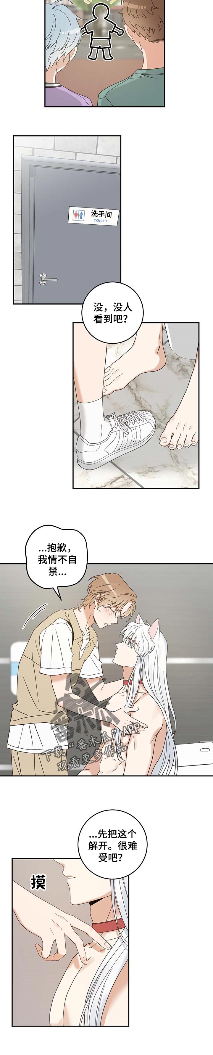 《亲爱的喵君》漫画最新章节第109章：不要再乱跑了免费下拉式在线观看章节第【5】张图片