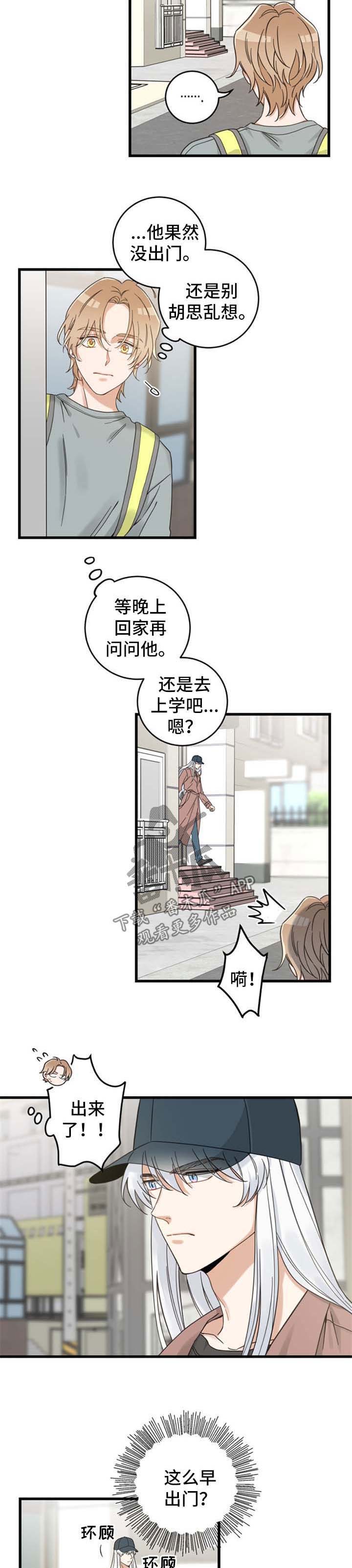 《亲爱的喵君》漫画最新章节第95章：跟踪免费下拉式在线观看章节第【6】张图片