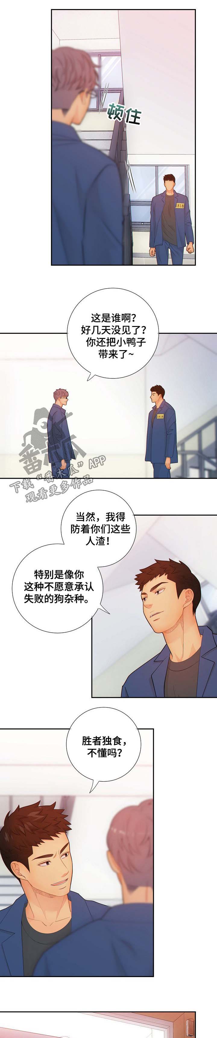 《阿尔法监狱》漫画最新章节第58章：游戏免费下拉式在线观看章节第【6】张图片