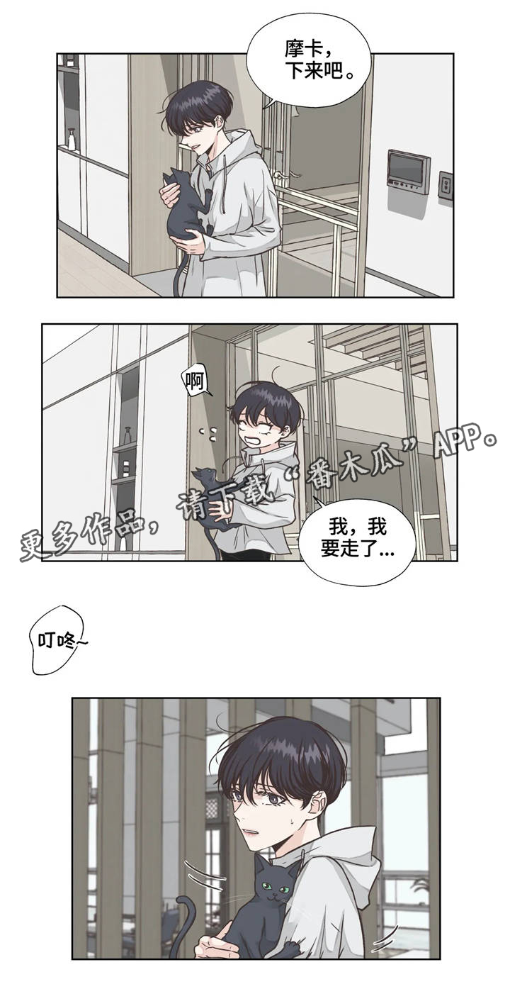 《永恒的牢笼》漫画最新章节第19章：发现免费下拉式在线观看章节第【10】张图片