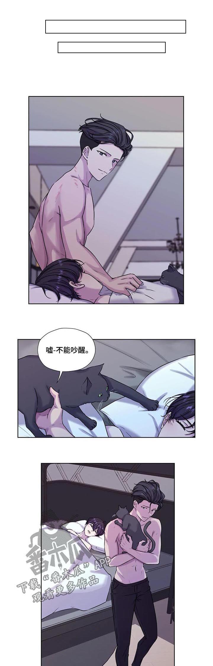 《永恒的牢笼》漫画最新章节第53章：【第二季】开始吧免费下拉式在线观看章节第【8】张图片