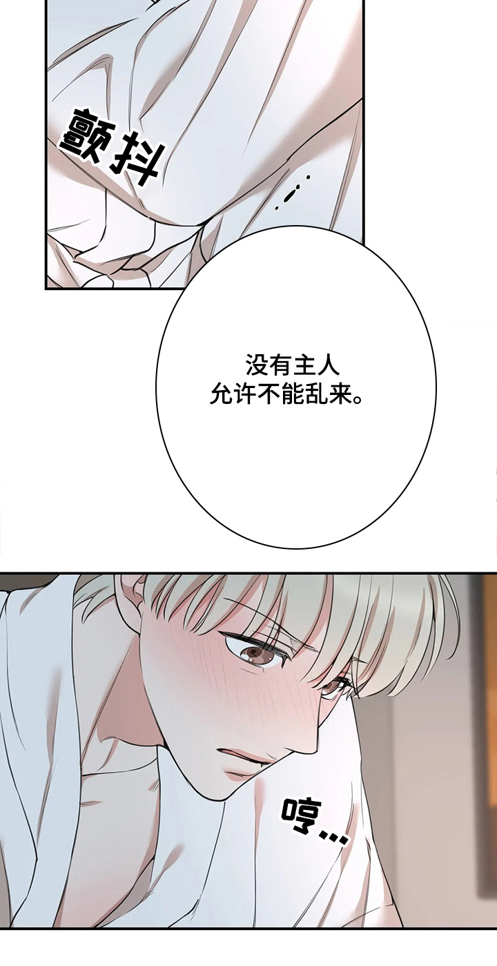 《娱乐天团》漫画最新章节第116章：【第二季】法国结束免费下拉式在线观看章节第【8】张图片