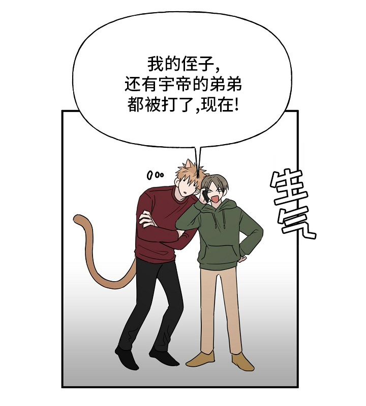 《幸运猫》漫画最新章节第37章：继续免费下拉式在线观看章节第【1】张图片