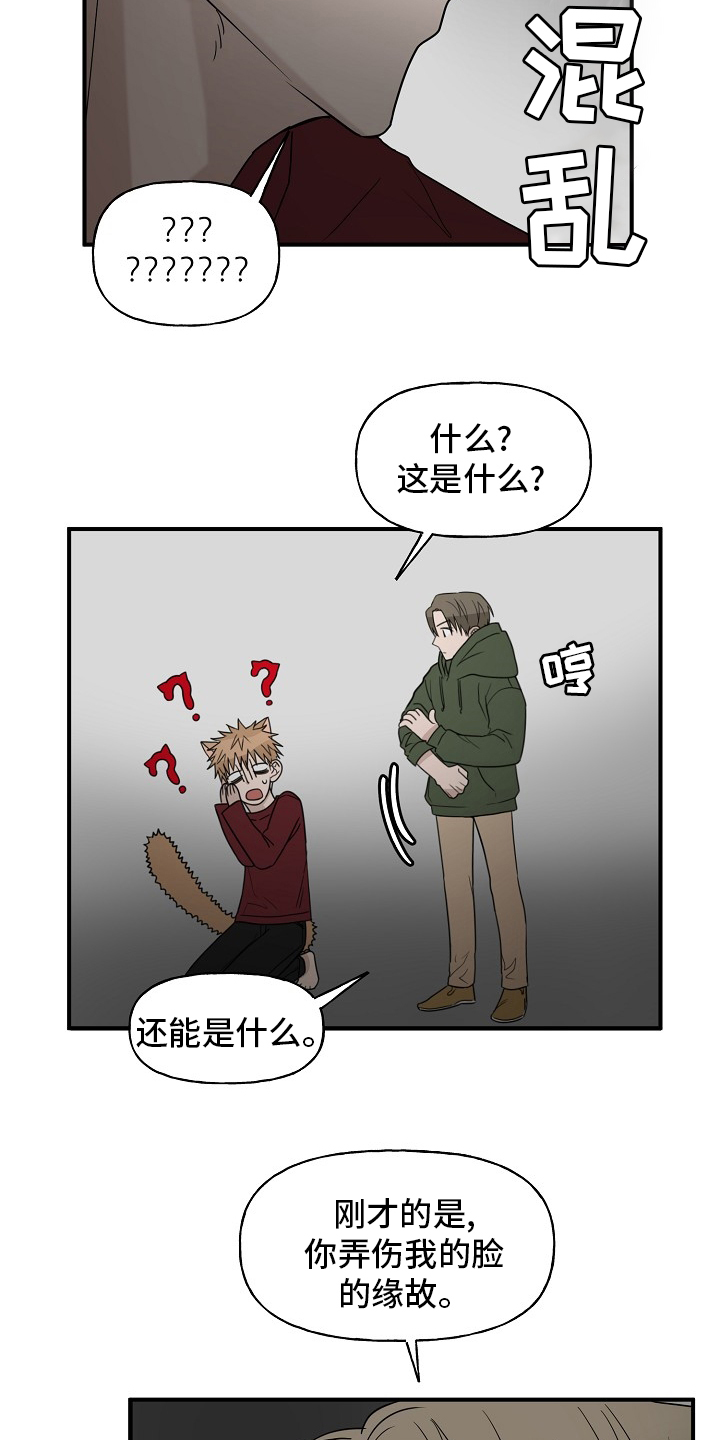 《幸运猫》漫画最新章节第36章：还没结束免费下拉式在线观看章节第【5】张图片