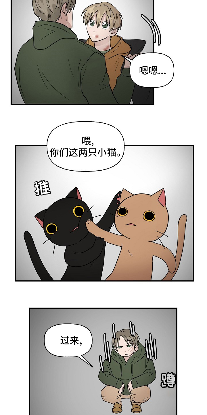 《幸运猫》漫画最新章节第34章：安抚免费下拉式在线观看章节第【5】张图片