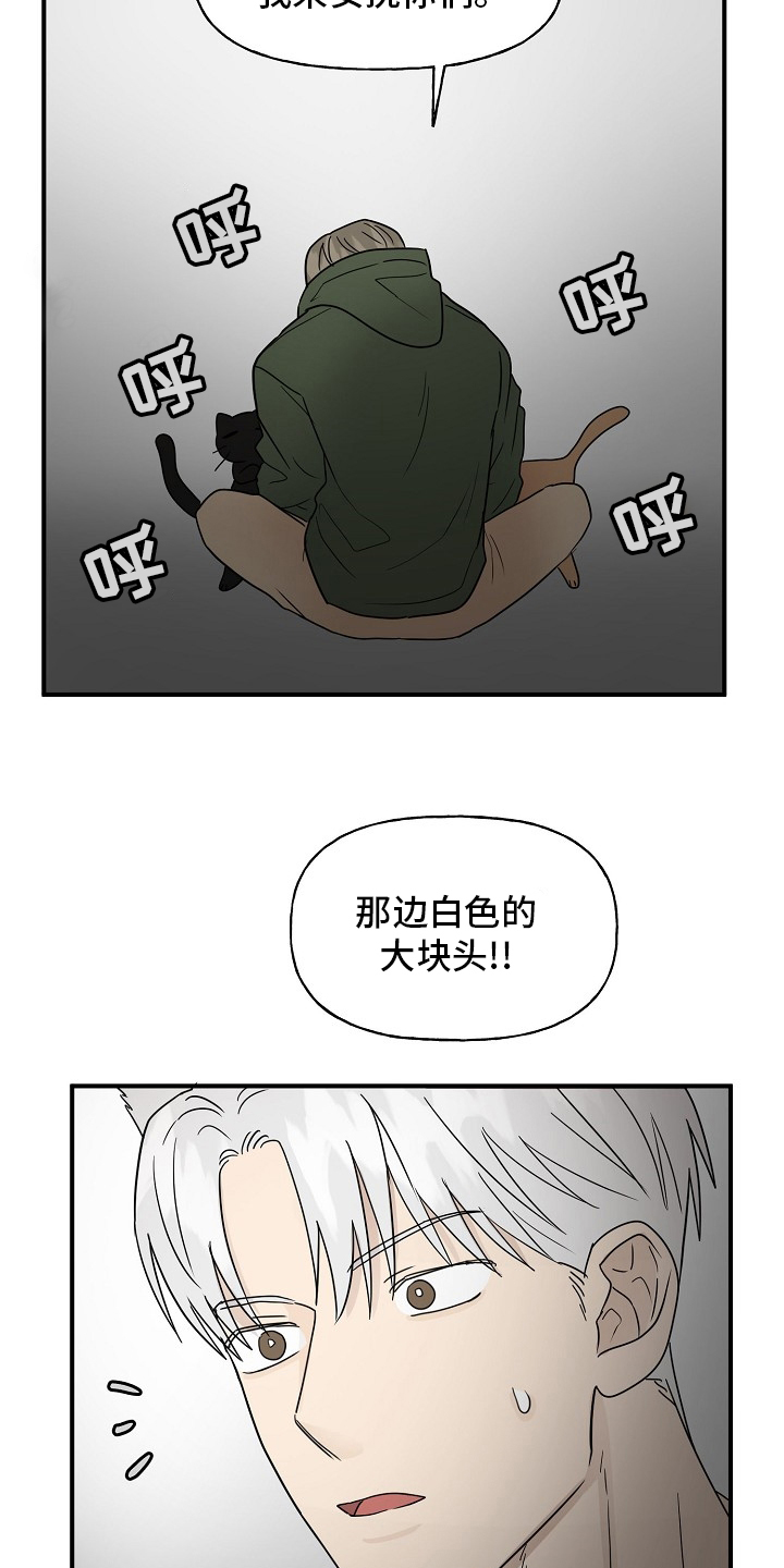 《幸运猫》漫画最新章节第34章：安抚免费下拉式在线观看章节第【3】张图片