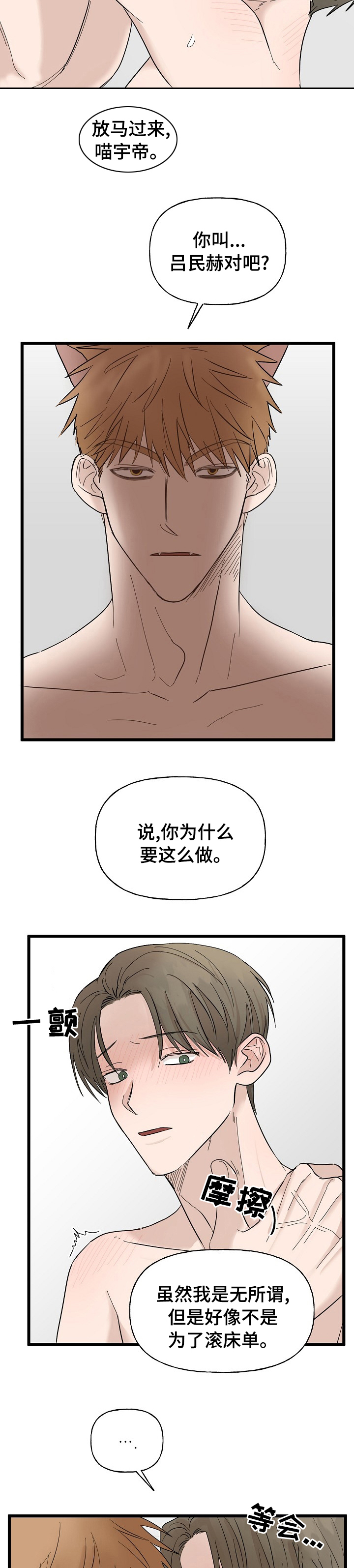 《幸运猫》漫画最新章节第22章：替罪羊免费下拉式在线观看章节第【5】张图片