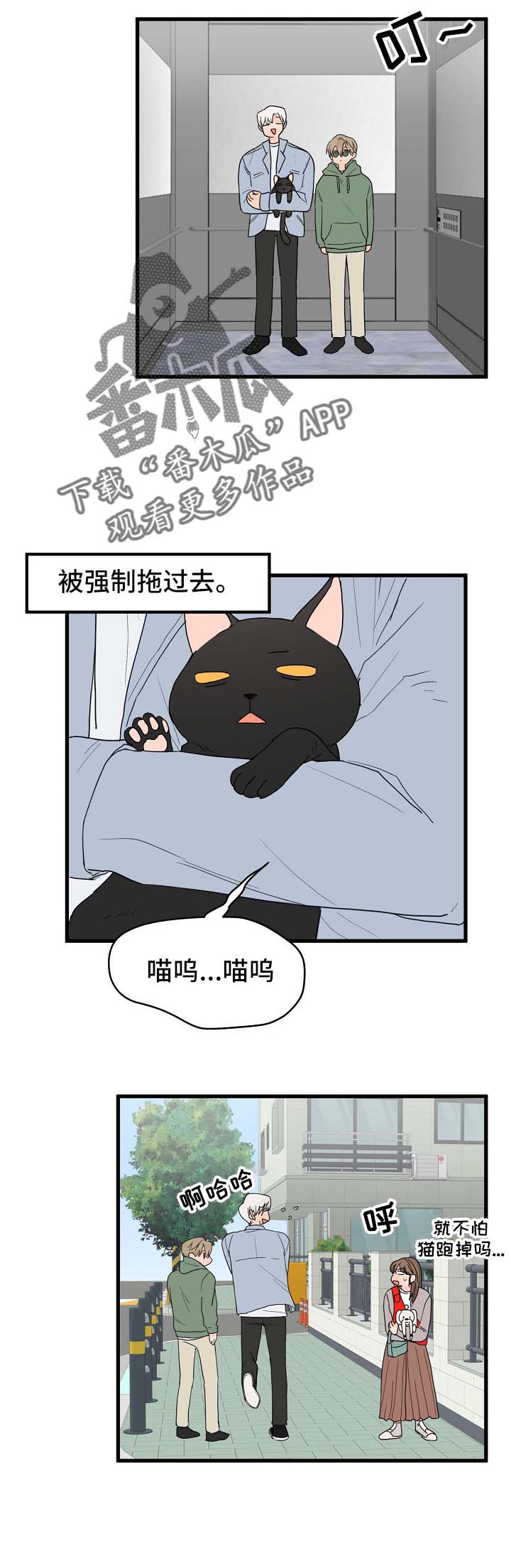 《幸运猫》漫画最新章节第13章：打击免费下拉式在线观看章节第【4】张图片