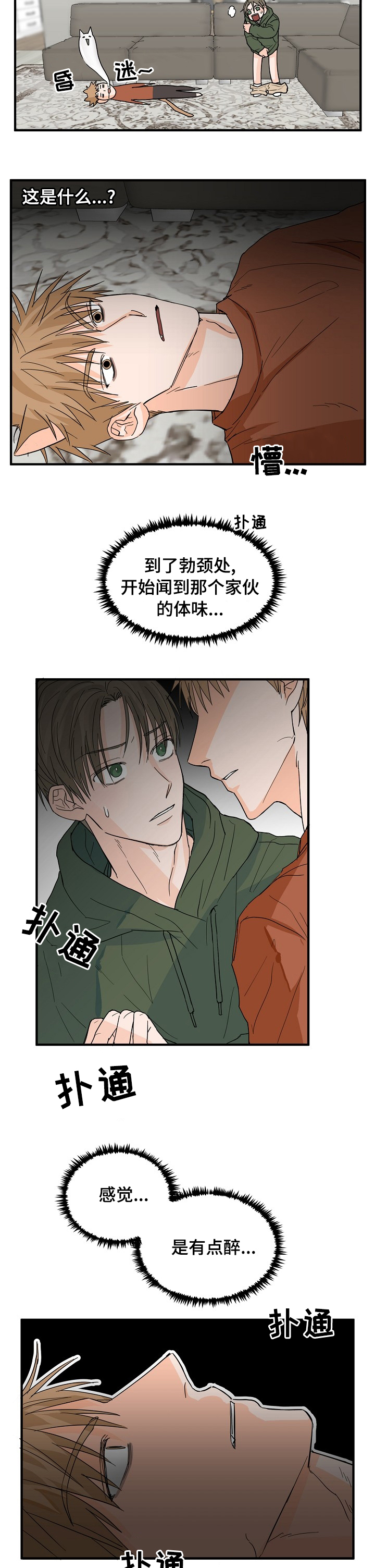 《幸运猫》漫画最新章节第16章：有点醉免费下拉式在线观看章节第【5】张图片