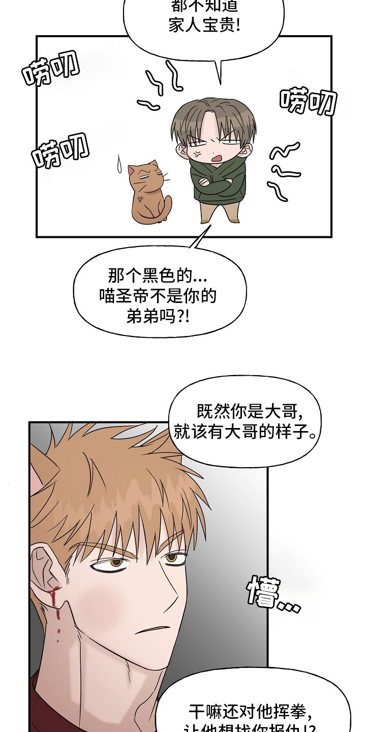 《幸运猫》漫画最新章节第37章：继续免费下拉式在线观看章节第【9】张图片