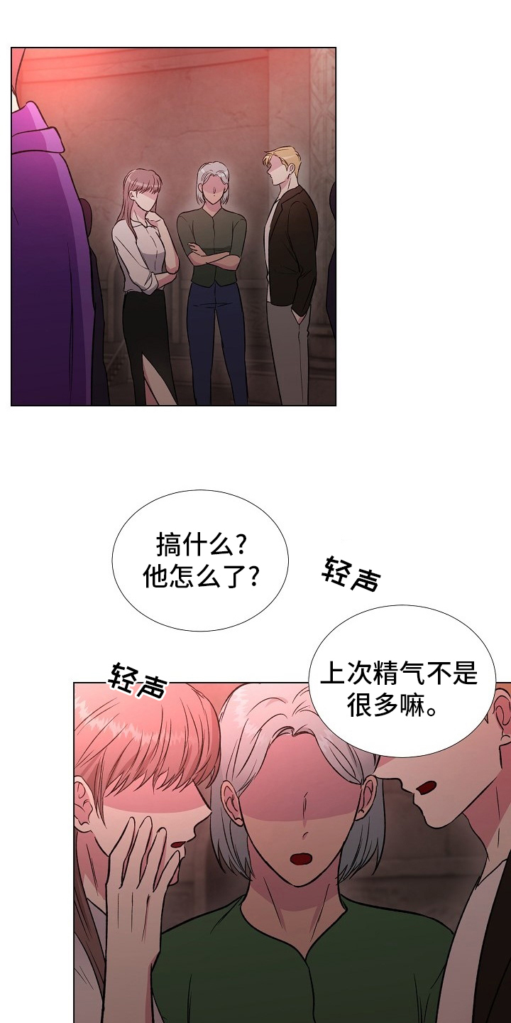 《爱的魔力》漫画最新章节第54章：选择免费下拉式在线观看章节第【19】张图片