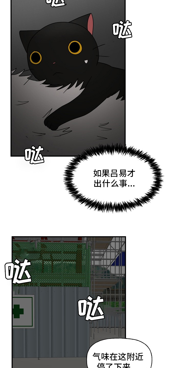 《幸运猫》漫画最新章节第32章：住手免费下拉式在线观看章节第【19】张图片