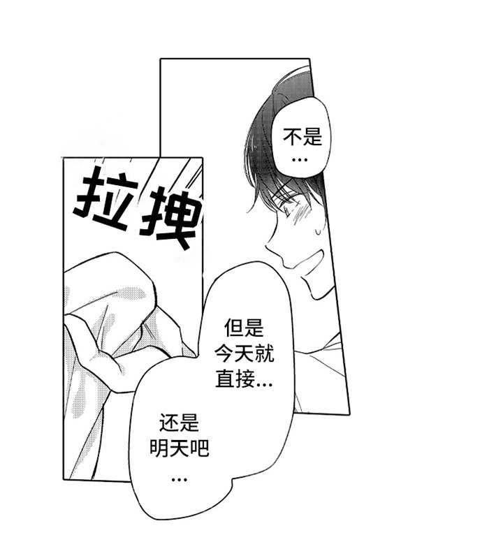 《偶像暗恋》漫画最新章节第16章：像梦一样（完结）免费下拉式在线观看章节第【15】张图片