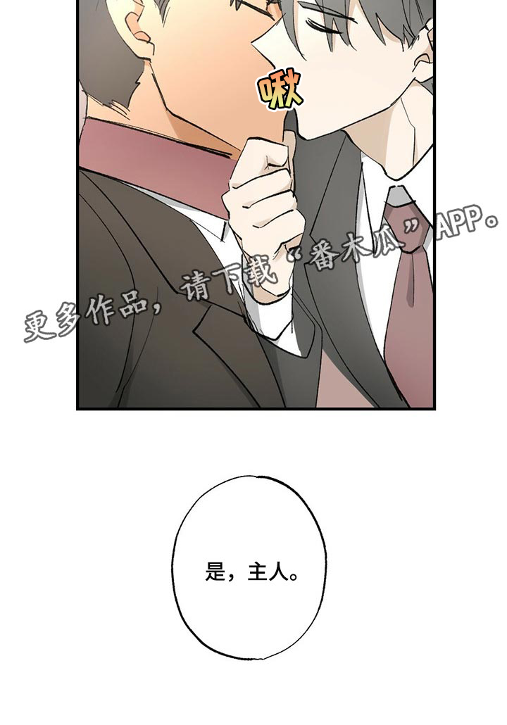 《专属欧米伽》漫画最新章节第54章：【故事四】不要逃跑免费下拉式在线观看章节第【1】张图片