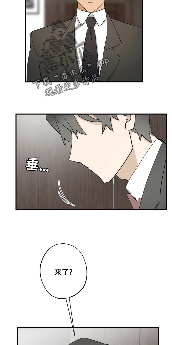 《专属欧米伽》漫画最新章节第54章：【故事四】不要逃跑免费下拉式在线观看章节第【23】张图片