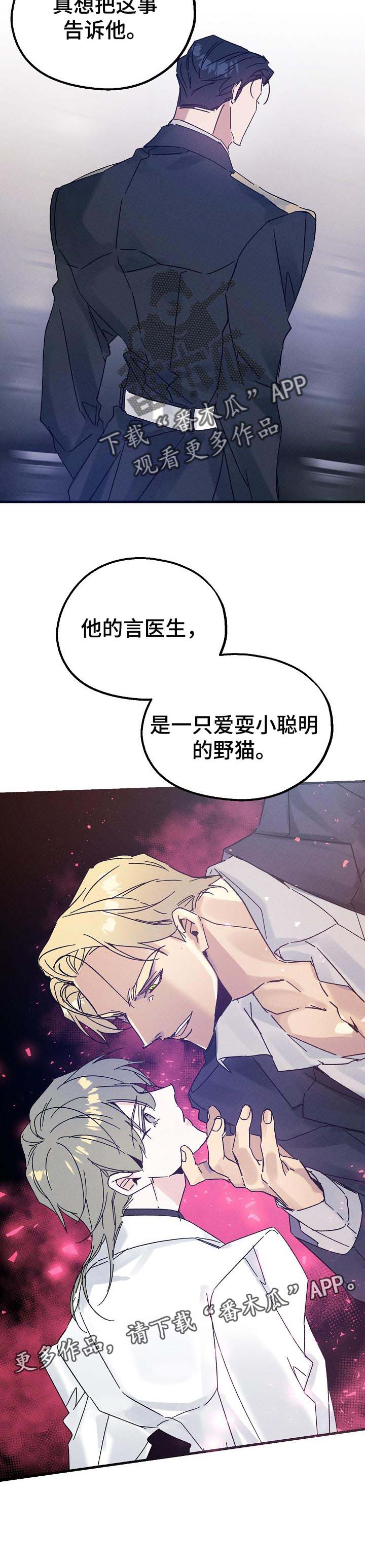 《青年将官》漫画最新章节第41章：野猫免费下拉式在线观看章节第【1】张图片