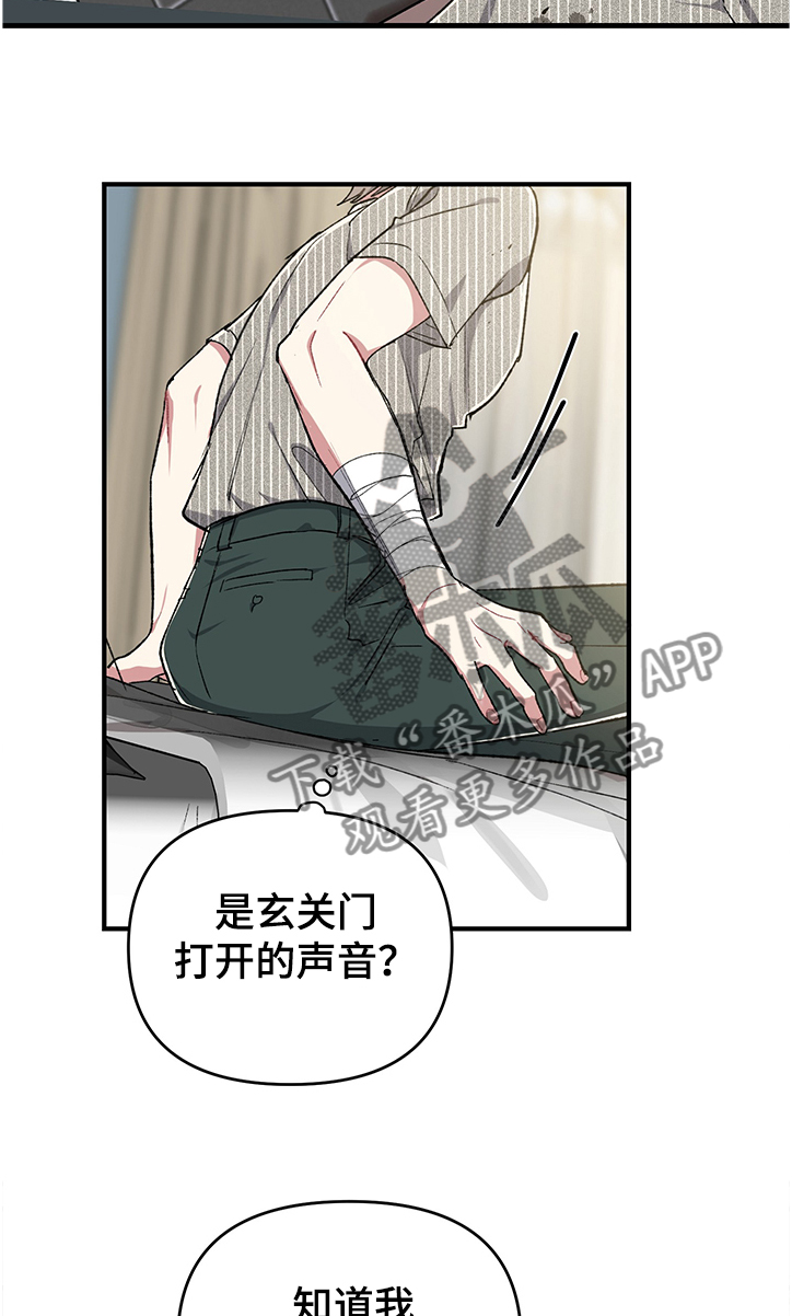 《爱情的成分》漫画最新章节第78章：明确的选择免费下拉式在线观看章节第【14】张图片