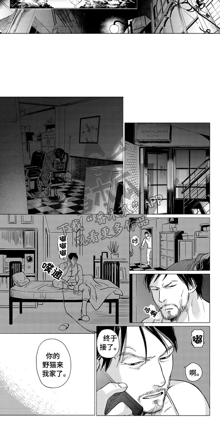 《虎与卯兔》漫画最新章节第21章：善后免费下拉式在线观看章节第【6】张图片