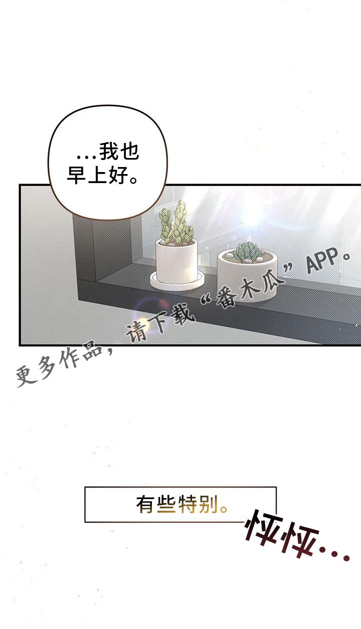 《强行分离》漫画最新章节第51章：特别免费下拉式在线观看章节第【1】张图片