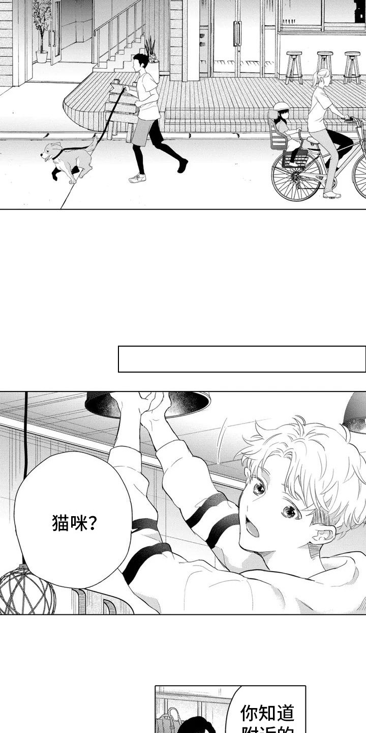 《问题事务所》漫画最新章节第1章：委托免费下拉式在线观看章节第【13】张图片