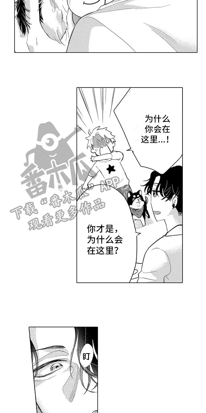 《问题事务所》漫画最新章节第7章：遛狗免费下拉式在线观看章节第【4】张图片