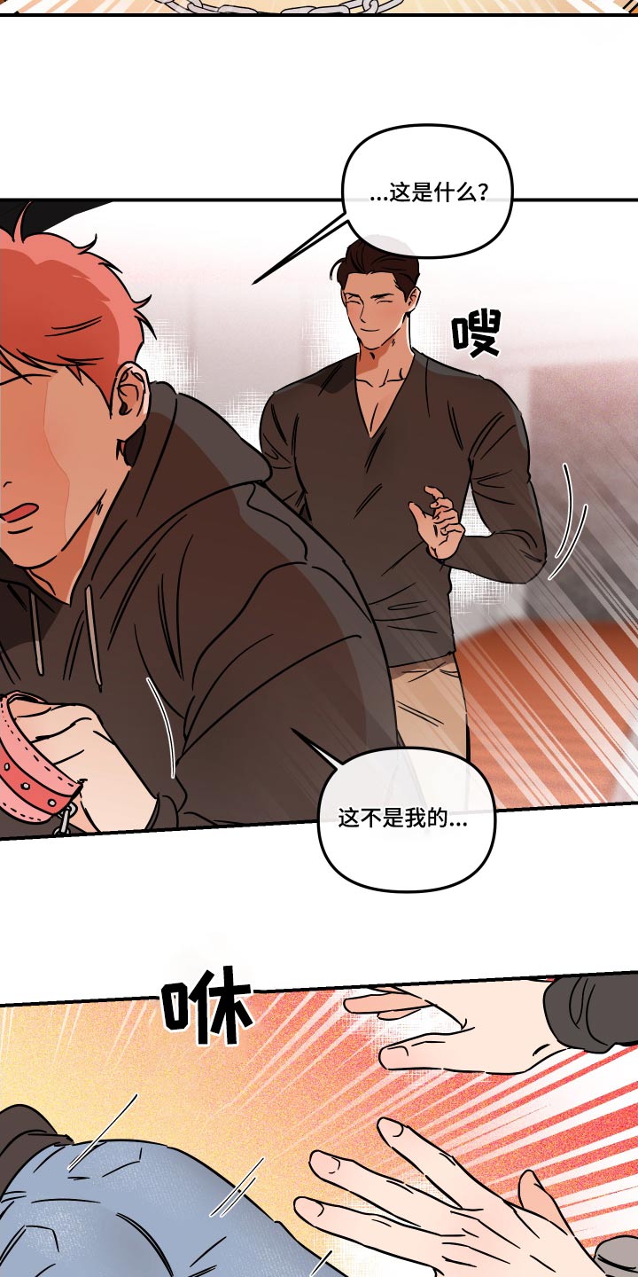 《绝对理想型》漫画最新章节第40章：放开我免费下拉式在线观看章节第【6】张图片