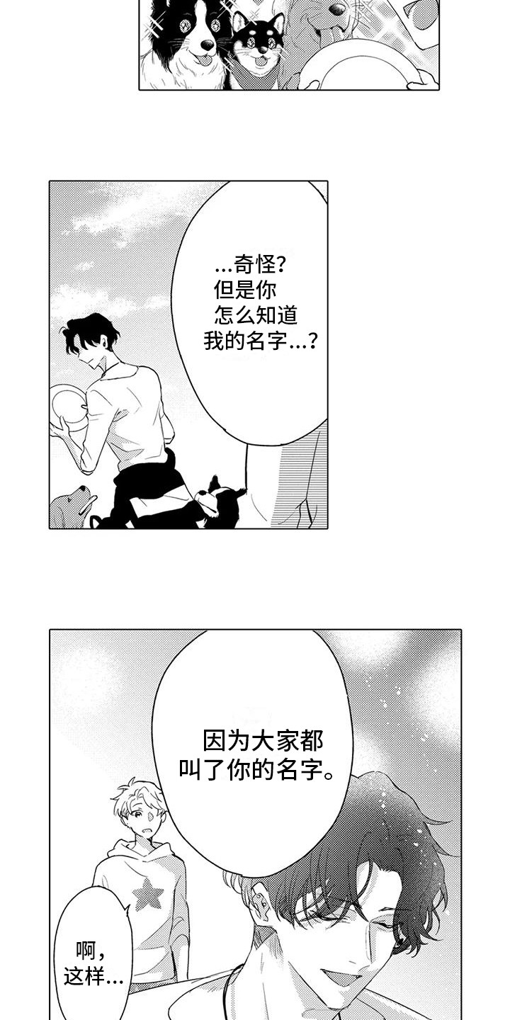 《问题事务所》漫画最新章节第8章：没精神免费下拉式在线观看章节第【11】张图片