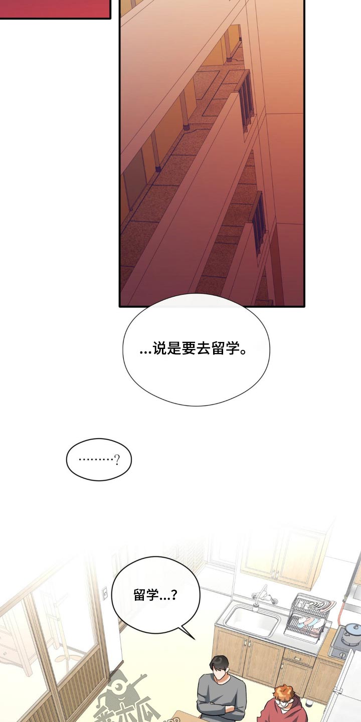 《另一个我》漫画最新章节第69章：留学免费下拉式在线观看章节第【17】张图片