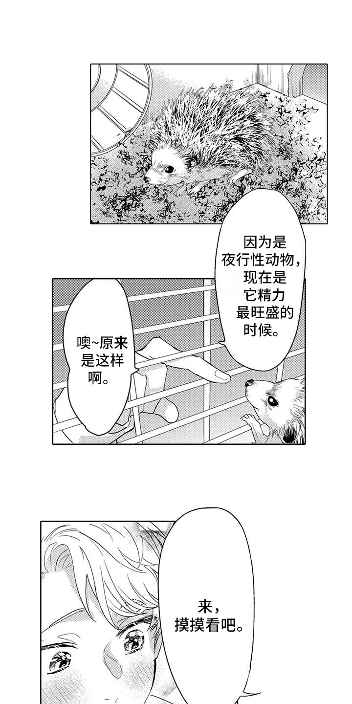 《问题事务所》漫画最新章节第25章：回忆免费下拉式在线观看章节第【13】张图片