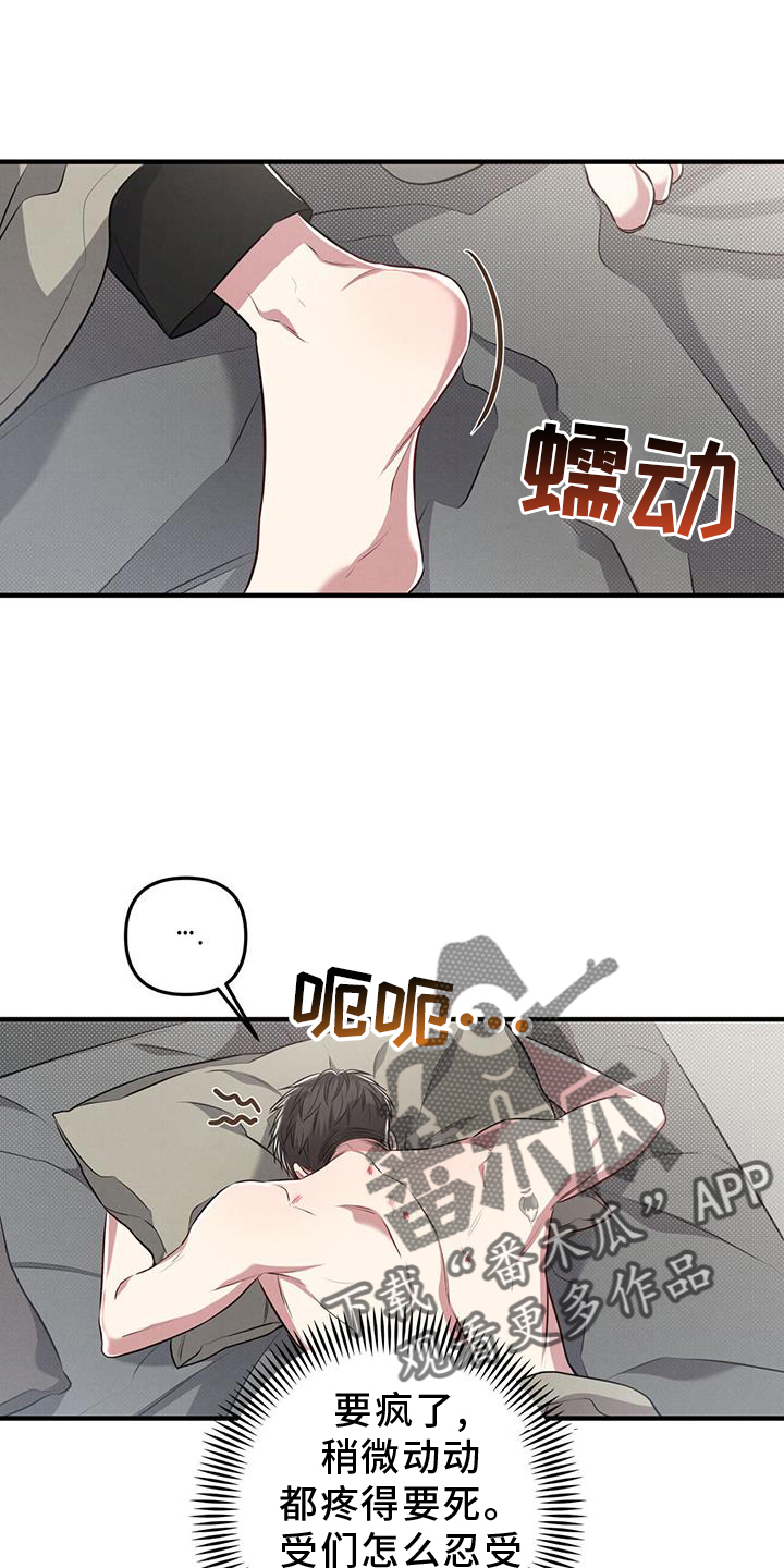 《强行分离》漫画最新章节第51章：特别免费下拉式在线观看章节第【13】张图片