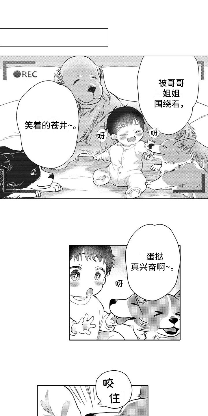 《问题事务所》漫画最新章节第7章：遛狗免费下拉式在线观看章节第【13】张图片