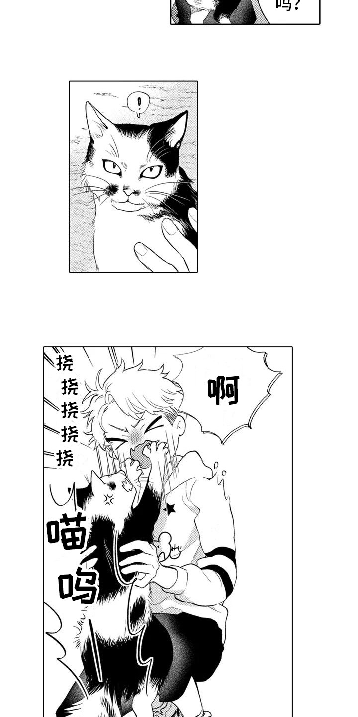 《问题事务所》漫画最新章节第1章：委托免费下拉式在线观看章节第【4】张图片