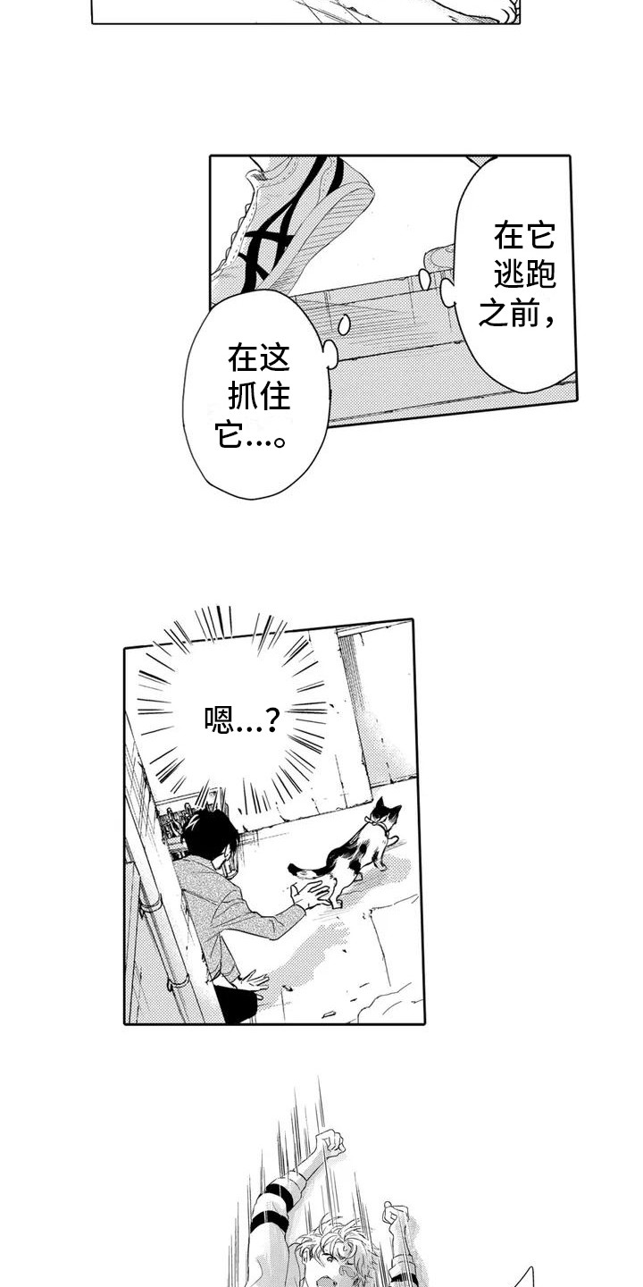 《问题事务所》漫画最新章节第2章： 寻找猫咪免费下拉式在线观看章节第【6】张图片