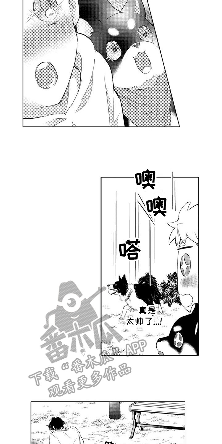 《问题事务所》漫画最新章节第7章：遛狗免费下拉式在线观看章节第【6】张图片