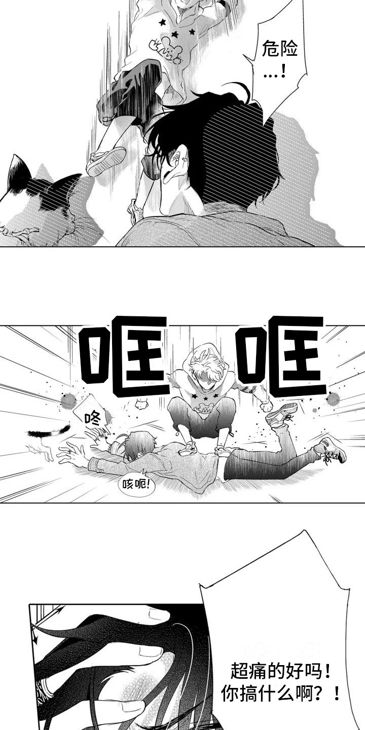 《问题事务所》漫画最新章节第2章： 寻找猫咪免费下拉式在线观看章节第【5】张图片