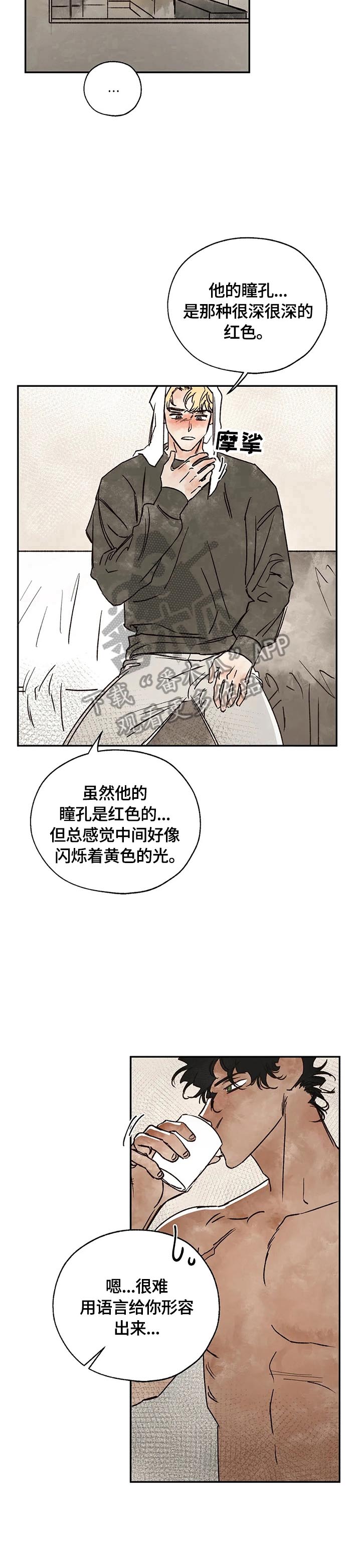 《血之诅咒》漫画最新章节第12章：怀疑对象免费下拉式在线观看章节第【8】张图片