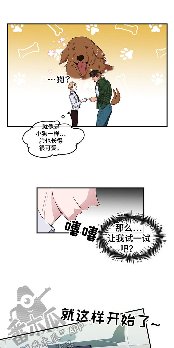 《灵感与期待》漫画最新章节第17章：空乘服务：失败免费下拉式在线观看章节第【15】张图片