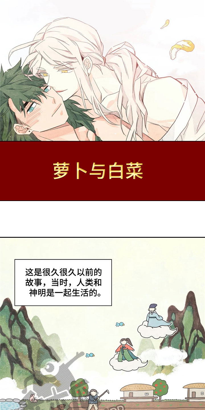 《灵感与期待》漫画最新章节第32章：萝卜与白菜：泡菜神免费下拉式在线观看章节第【14】张图片